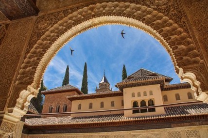 Trees and birds above the mosque