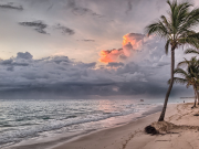 Sea beach and palm trees