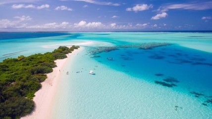 Blue sea and coral reefs