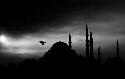 The mosque in the darkness of the night and the birds flying