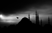 The mosque in the darkness of the night and the birds flying